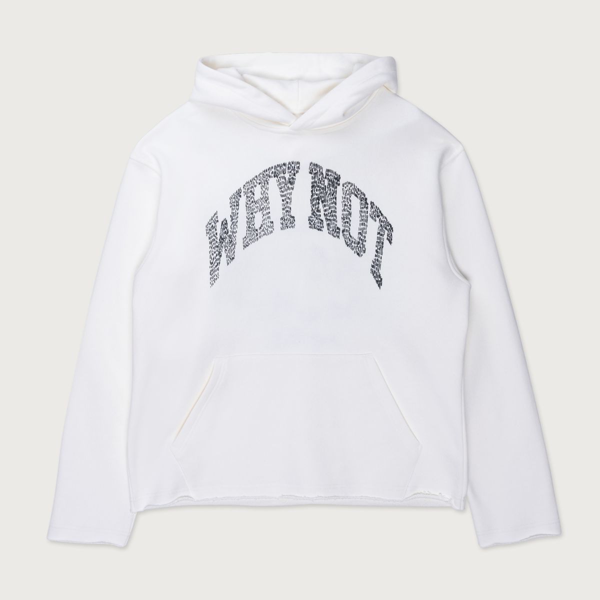 WHY NOT HOODIE