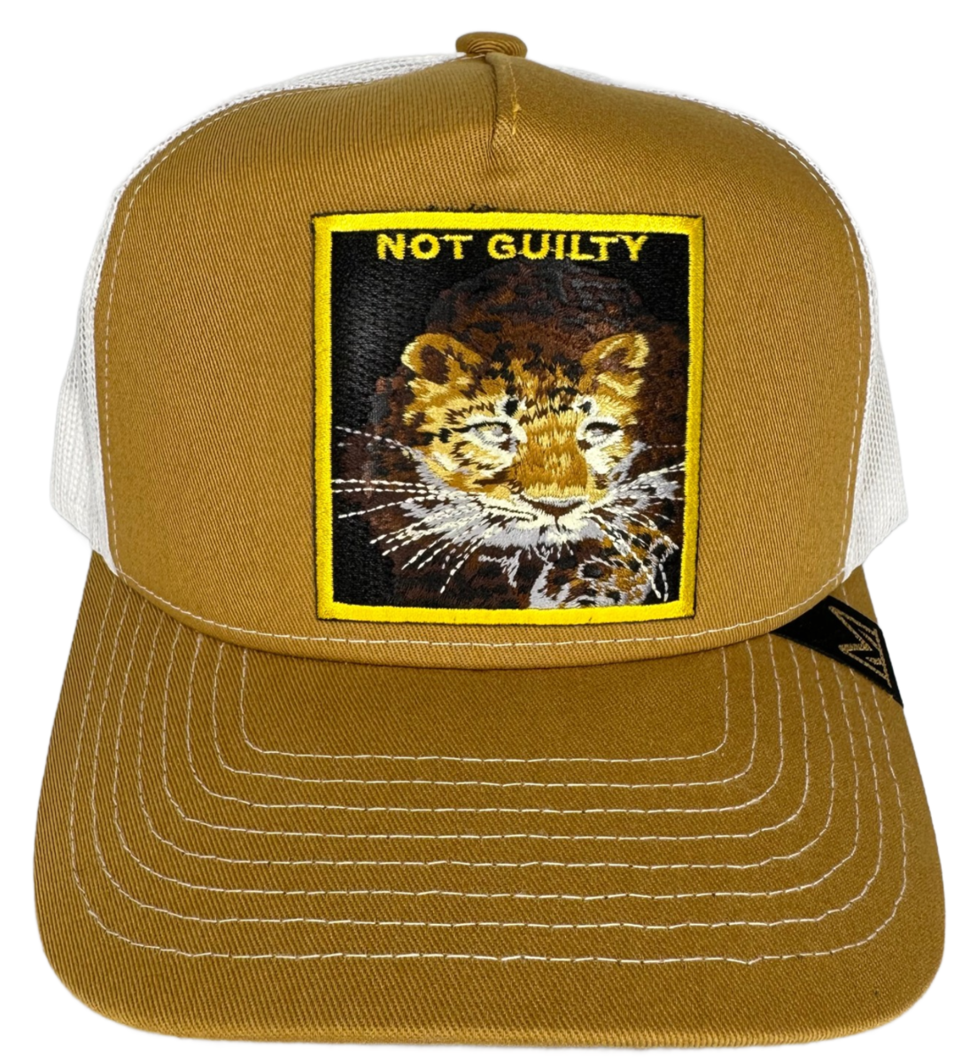 NOT GUILTY TRUCKER