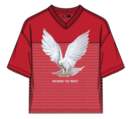 PEACE CROPPED MESH JERSEY WITH EMBROIDERY DETAILS