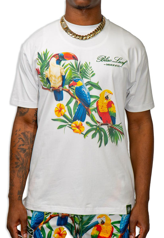Tropical Vibes Shirt (B&T)