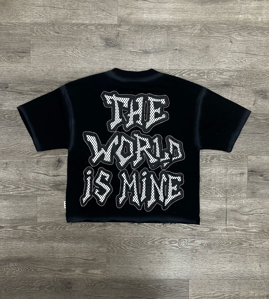 " THE WORLD IS MINE" F-TERRY CROPPED T-SHIRT