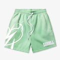 "ASPIRE" TERRY SHORTS ( WASHED GREEN)